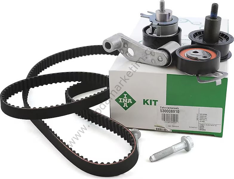 INA | TRİGER SETİ EKSANTRİK RULMAN KİTİ FABIA OCTAVIA CADDY 1,4 / 1,6 16V---036198119A