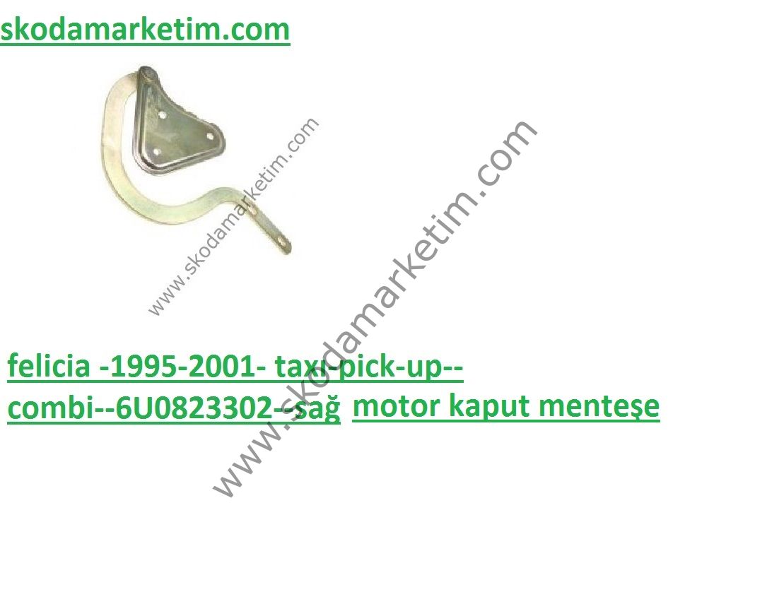KAPUT MENTEŞE SAĞ FELİCİA-95-01--6U0823302