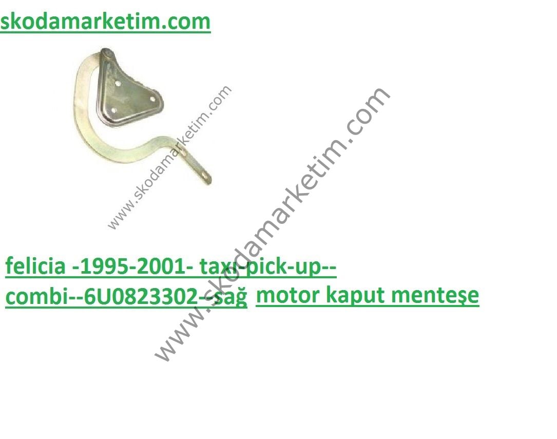 KAPUT MENTEŞE SAĞ FELİCİA-95-01--6U0823302