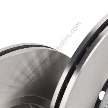 BRAXIS AE0045 | ÖN FREN AYNASI HAVALANDIRMALI FABIA 1.0 1.2 12 / 99>POLO--6Q0615301