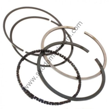 SEGMAN -SEKMAN -TAKIM- FAVORİT FELİCİA FORMAN 1,3--047107301B