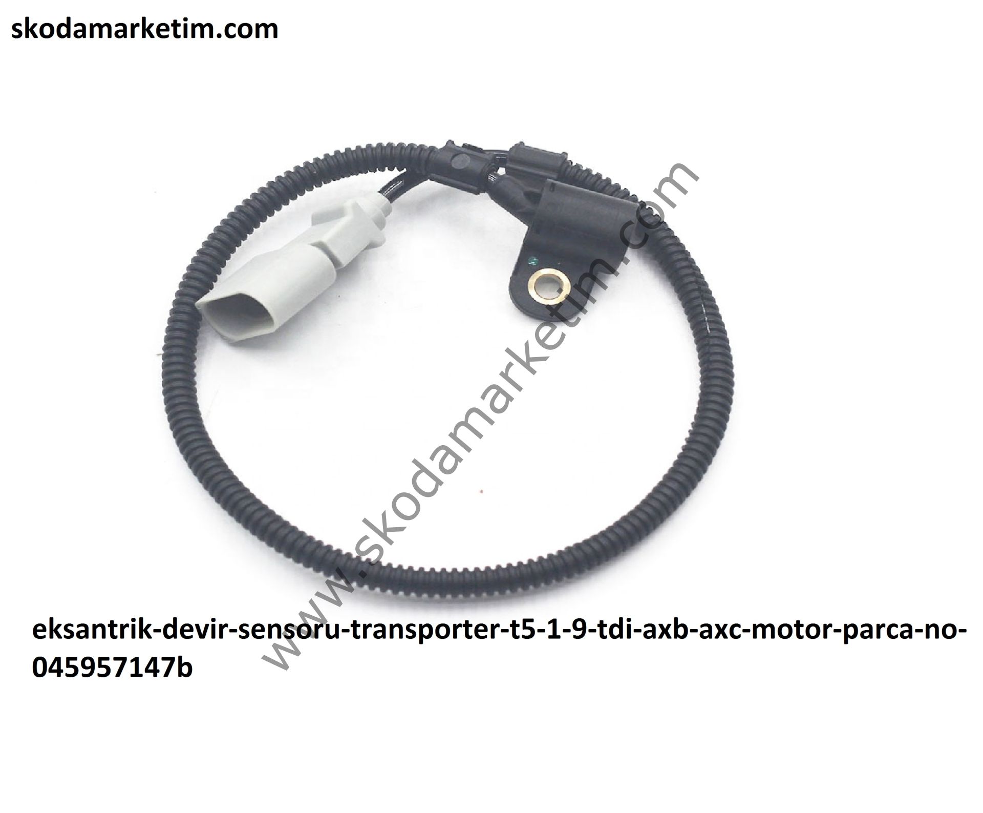 Skodamarketim |